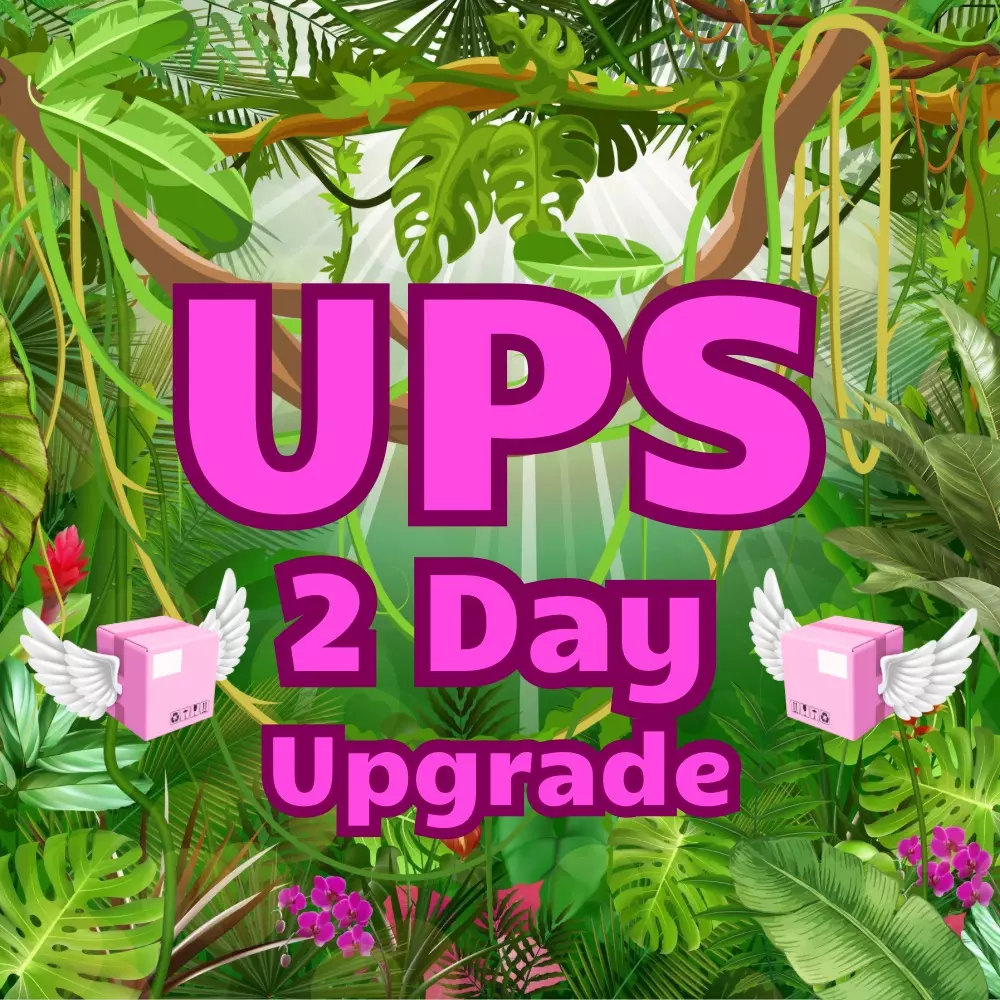 shipping_upgrade/UPS 2 Day shipping upgrade-0