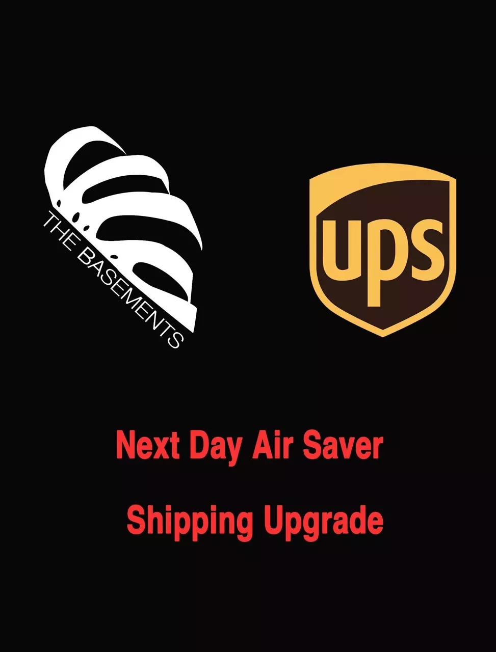shipping_upgrade/UPS next day air savor Upgrade-0