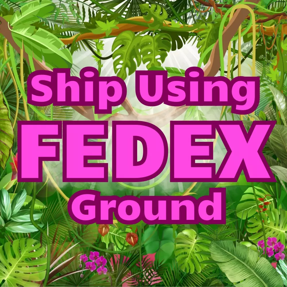 free_shipping/I Want My Plants Shipped FEDEX GROUND-0