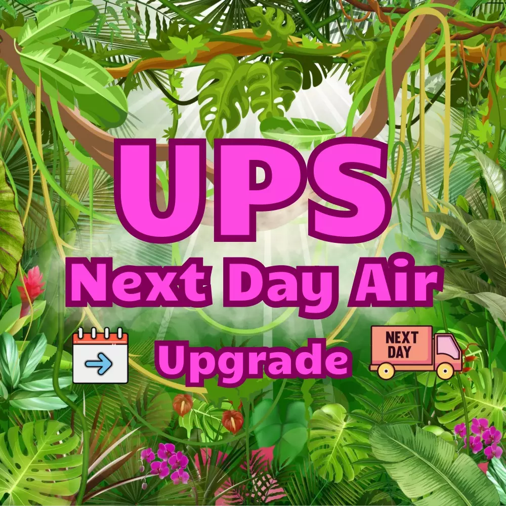 heat_pack/UPS next day air upgrade-0