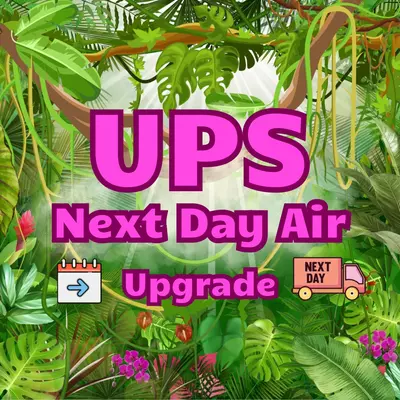 heat_pack/UPS next day air upgrade-0-thumbnail