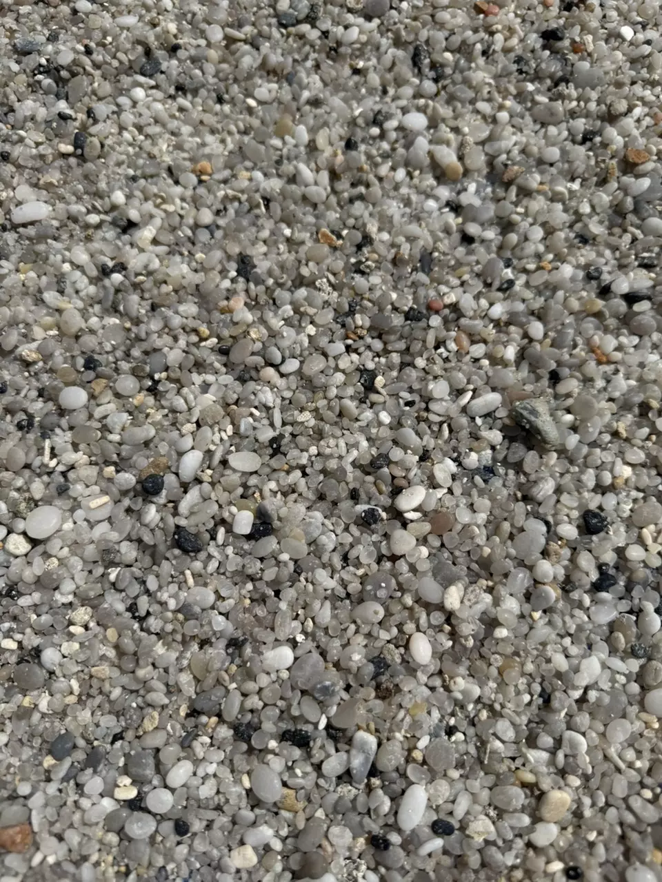plant/Light Colored Mixed Gravel (5 lbs)-0
