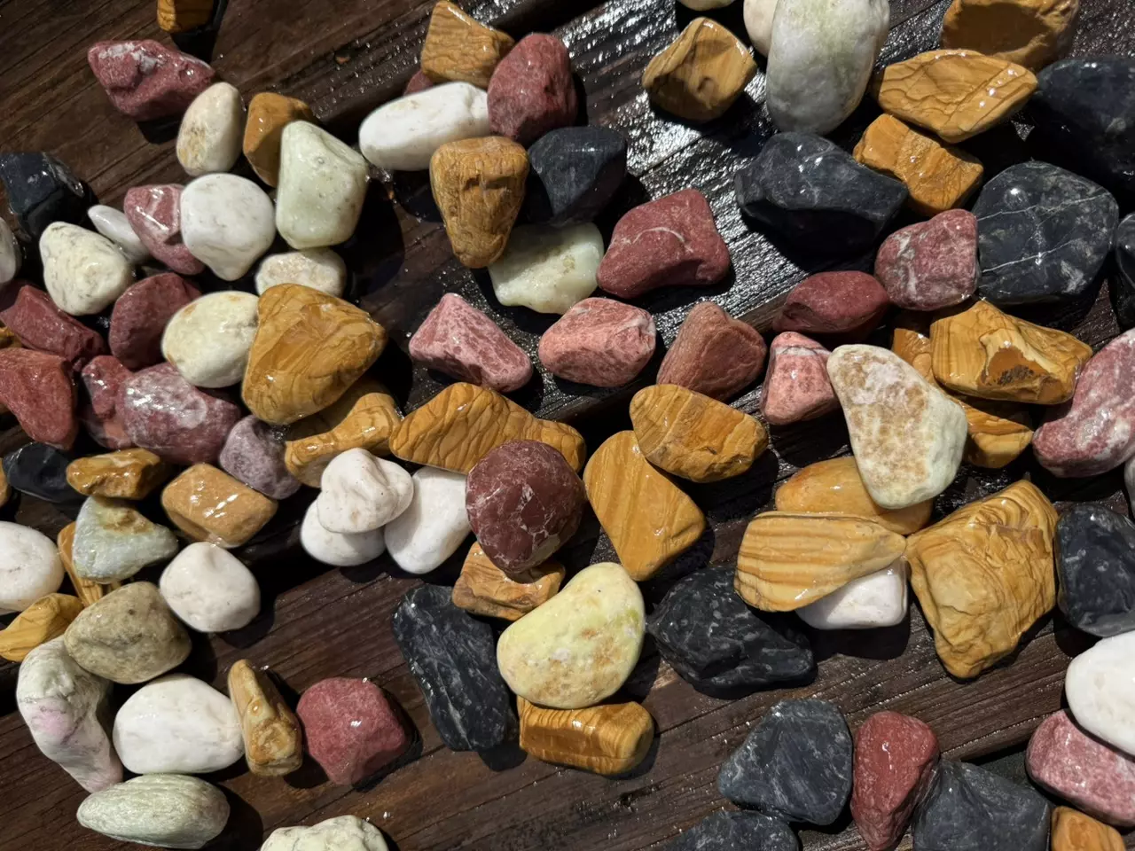 plant/Rainbow River Rock Small Mix (5 lbs)-0