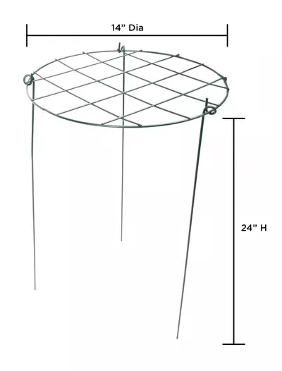 plant/Flower Support Cage (One Set)-0-thumbnail