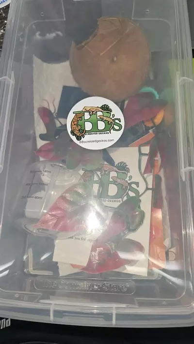 plant/Full baby tub set up-0-thumbnail