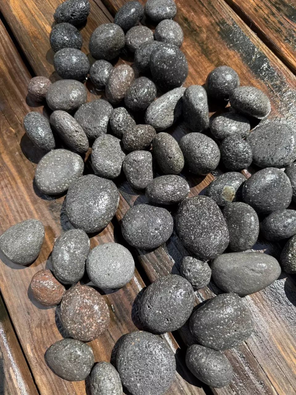 plant/Smooth Lava Rocks Small (5 lbs)-0