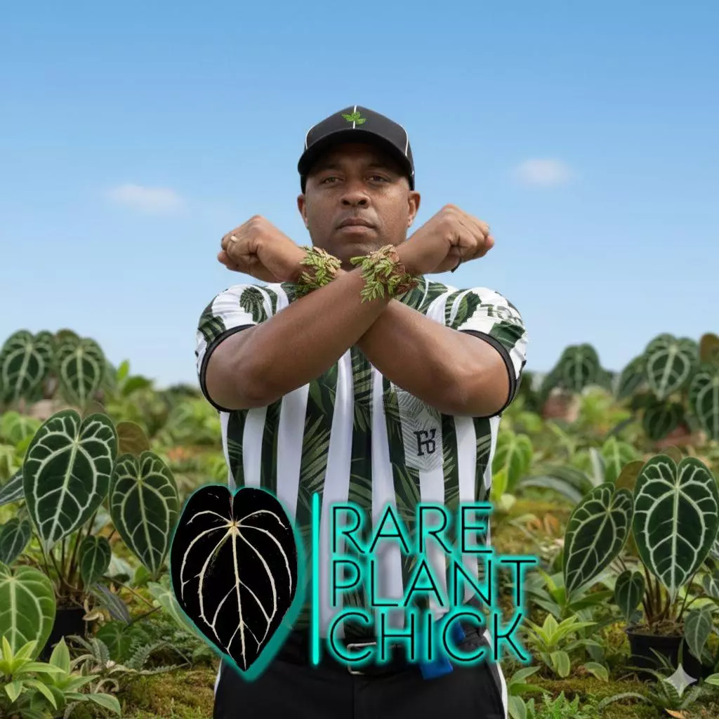 shipping_upgrade/HOLDING 🙅‍♀️ Hold my order for 2 weeks-0