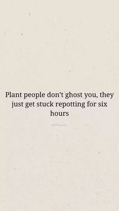 free_shipping/CREW NECK SWEAT SHIRT UPGRADE-0-thumbnail