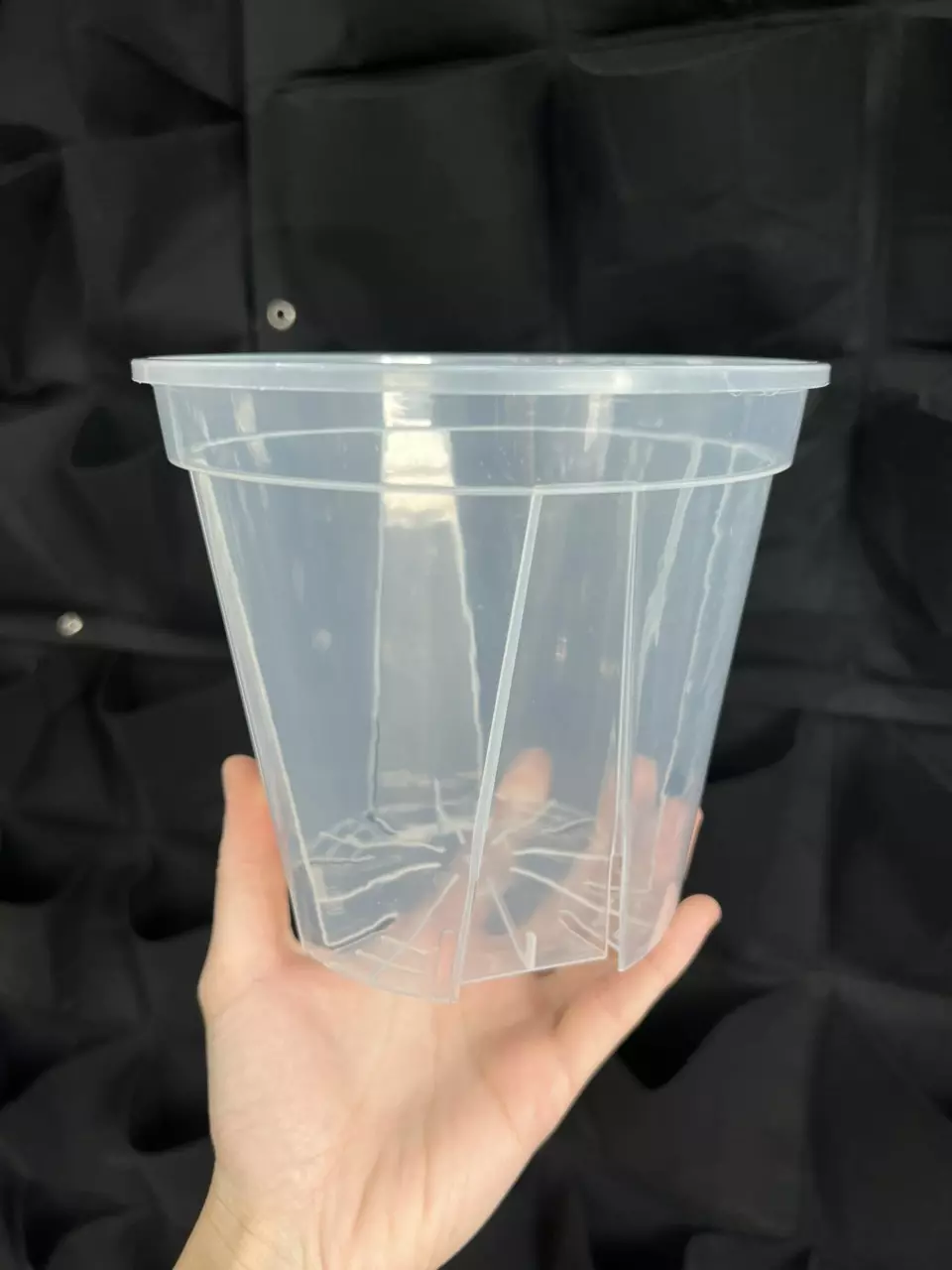 plant/Pack of 5 Clear Nursery Pot 6 inch-0