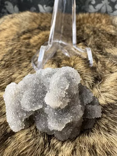 plant/Chalcedony-1-thumbnail