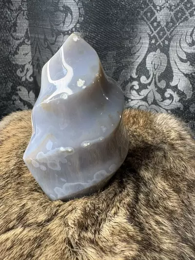 plant/Agate flame-2-thumbnail