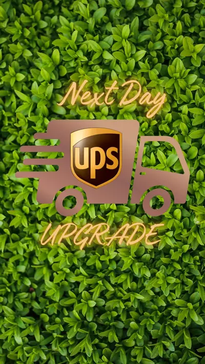plant/Next Day Upgrade-0-thumbnail