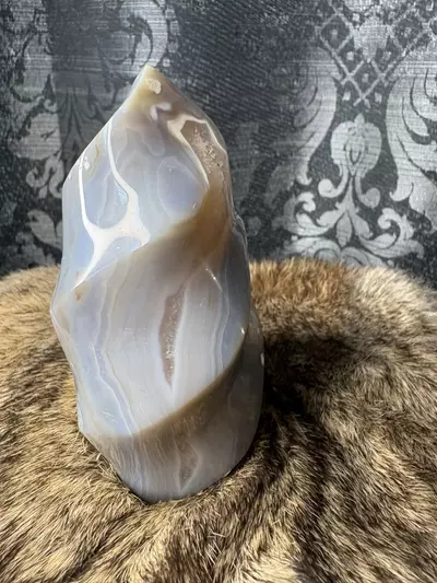 plant/Agate flame-1-thumbnail