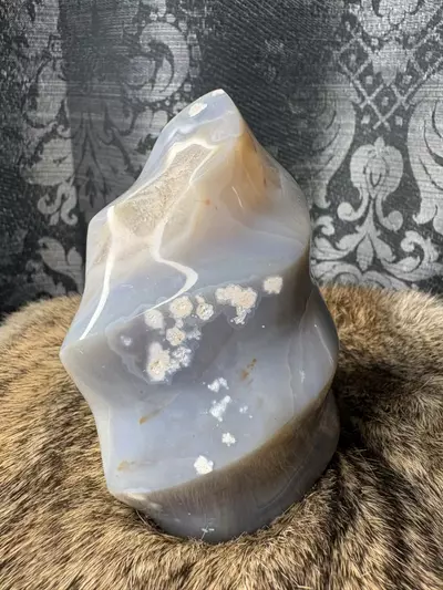 plant/Agate flame-0-thumbnail