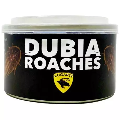 plant/Canned Dubia Roaches-0