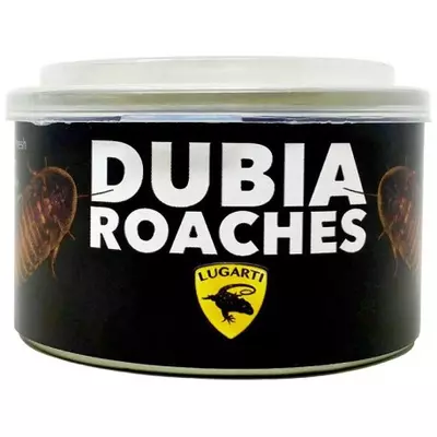plant/Canned Dubia Roaches-0-thumbnail
