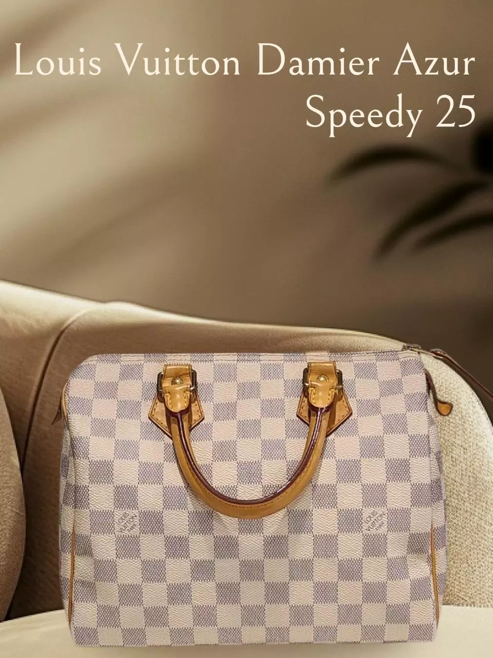 plant/LOUIS VUITTON DAMIER AZUR SPEEDY 25-0