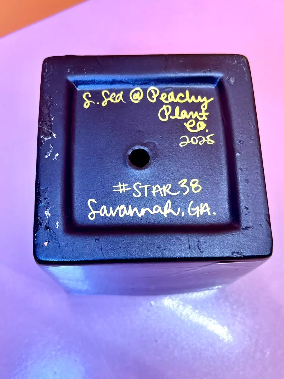 plant/Hand Painted 4 in. Square Pot | Black #STAR38-7