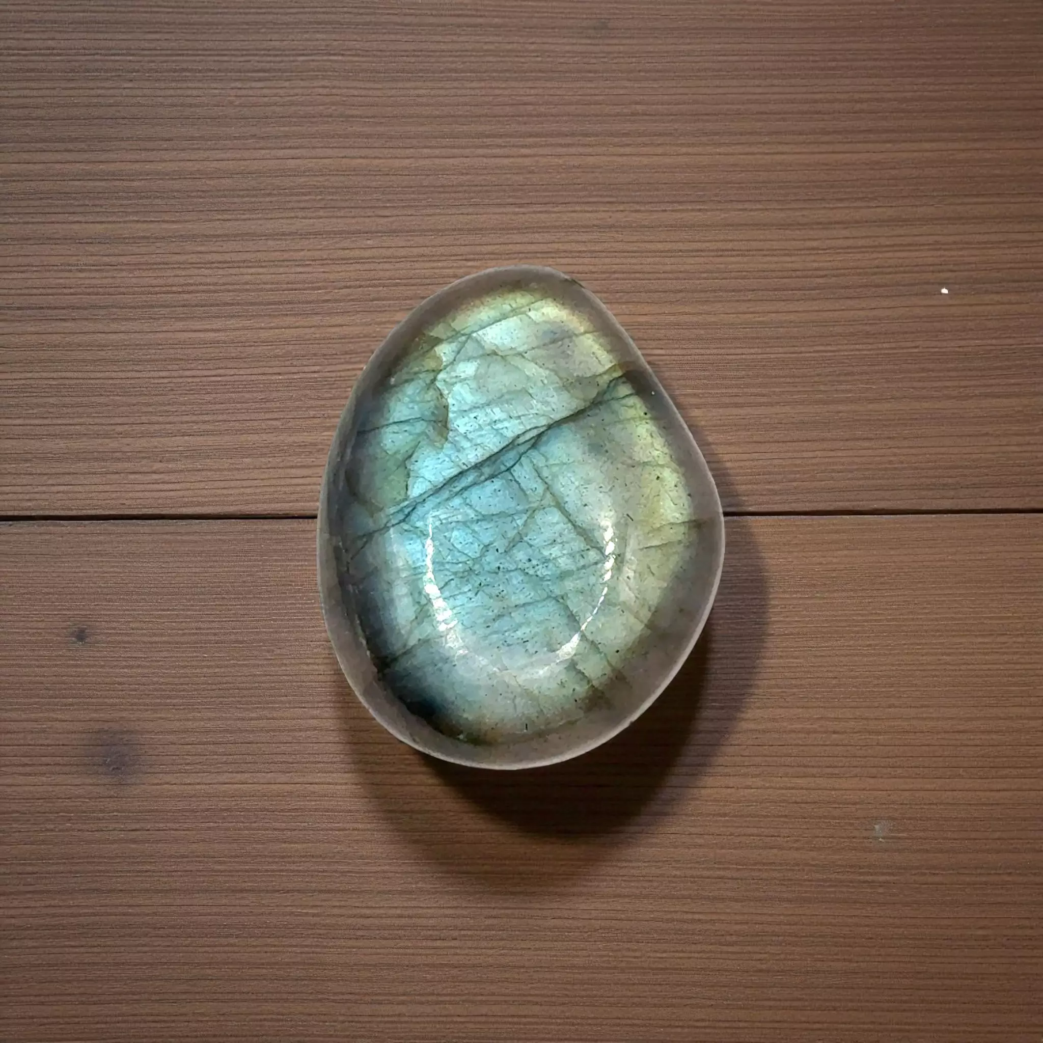 plant/51.49 Carat Cabochon Labradorite Gemstone - Live Show Listing-0
