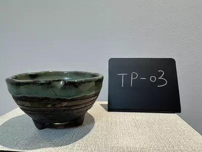 plant/TP-03-0-thumbnail