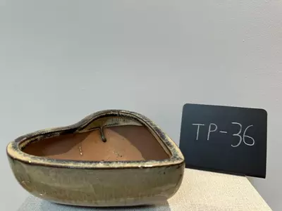 plant/TP-36-0-thumbnail