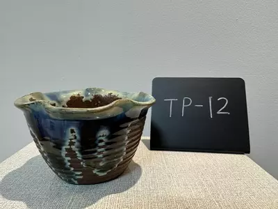 plant/TP-12-0-thumbnail