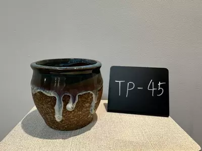 plant/TP-45-0-thumbnail