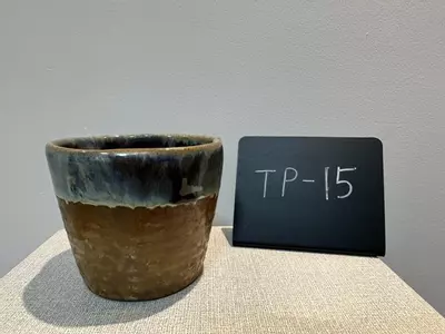 plant/TP-15-0-thumbnail