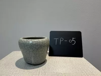 plant/TP-05-0-thumbnail