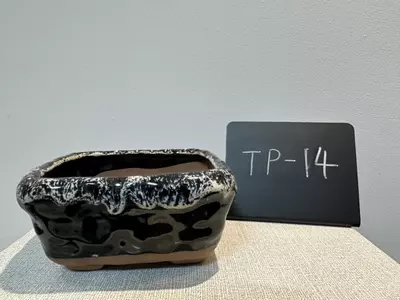 plant/TP-14-0-thumbnail