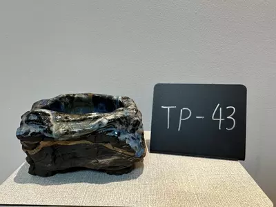 plant/TP-43-0-thumbnail