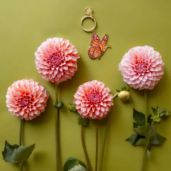 plant/Butterfly Enamel Keychain-0