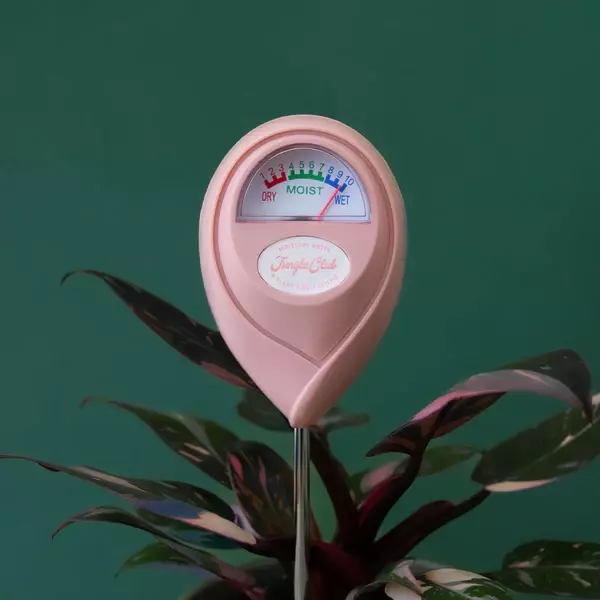 plant/Moisture Meter | Pink-0