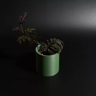 plant/2 - 2.5" Cover Pot-0-thumbnail
