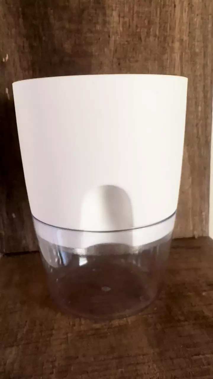 plant/Self watering plant pots! Awesome for young plants! Set of 5!-1