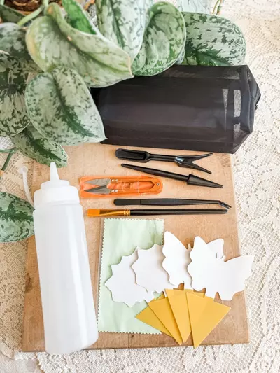 plant/Plant care kit-0-thumbnail