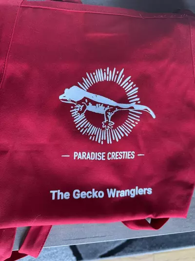 plant/Apron with Pockets & Stain Release Technology  - red-0-thumbnail