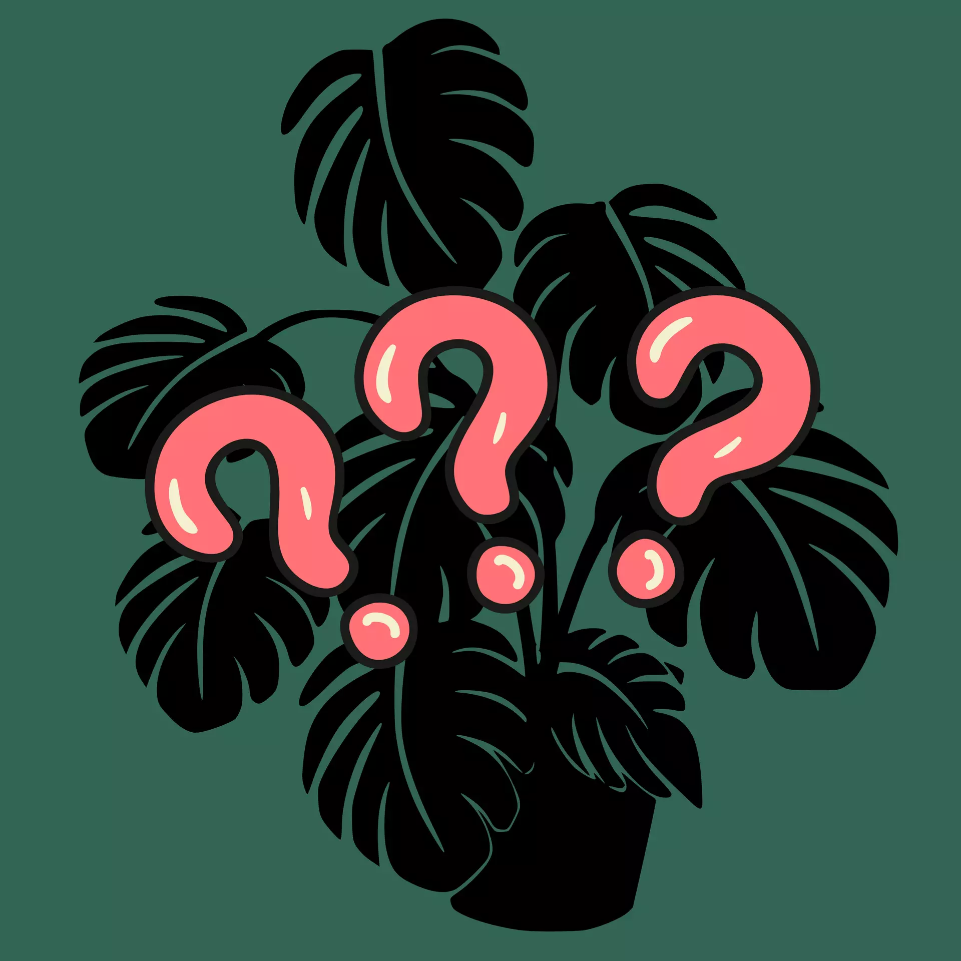 plant/Feeling lucky? Mystery Starter Plant!-0