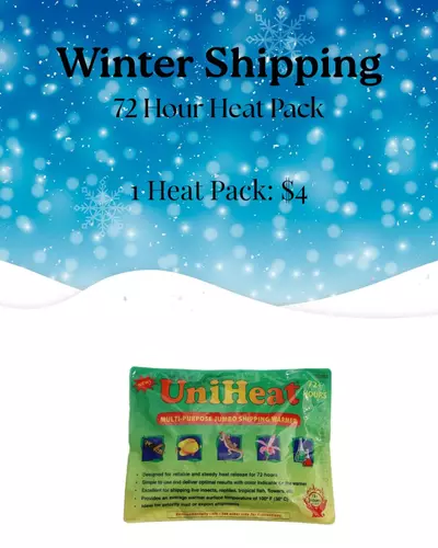 plant/72 Hour Heat Pack-0-thumbnail