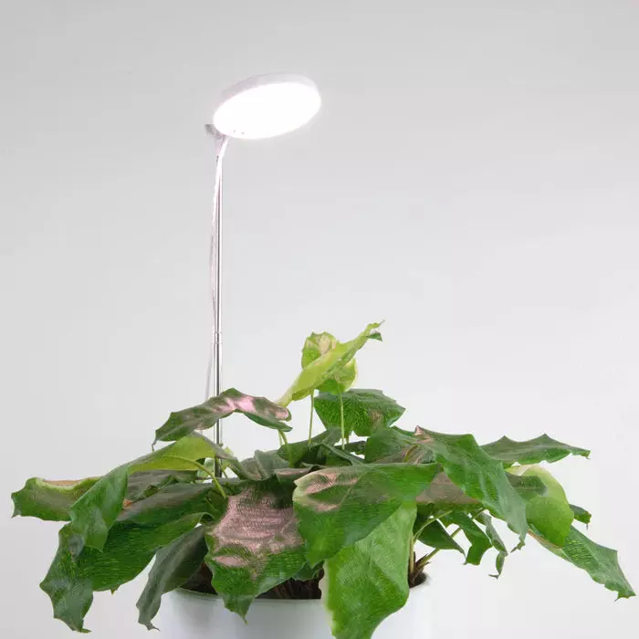 plant/Mossify® Adjustable LED Plant Light-0