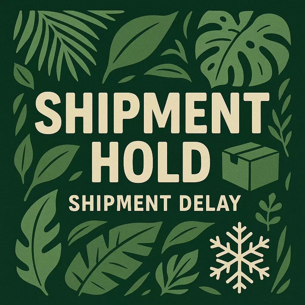 plant/Hold - 1 Week-0