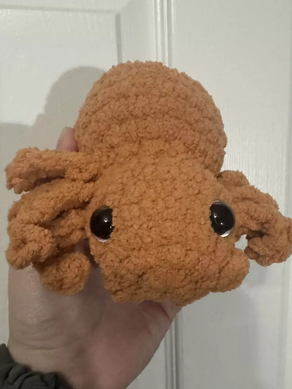 plant/Orange spider-0