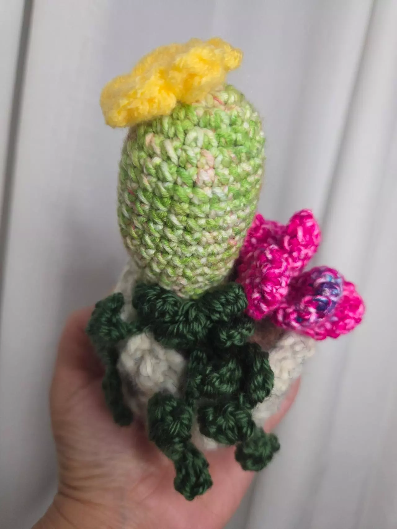 plant/Cactus Plant Assortment Handmade Colorful pot-2