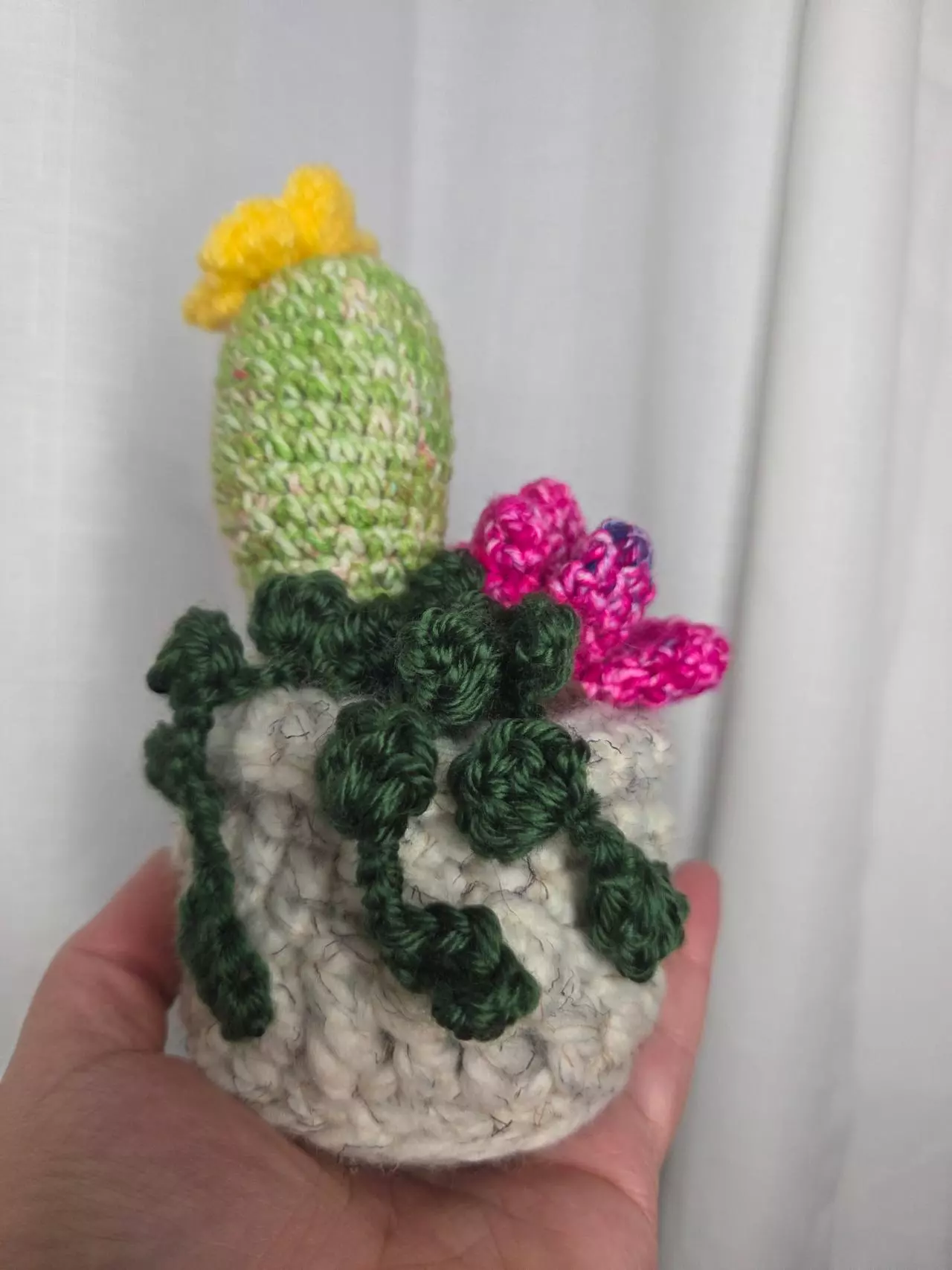 plant/Cactus Plant Assortment Handmade Colorful pot-1