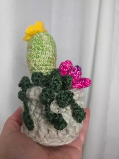 plant/Cactus Plant Assortment Handmade Colorful pot-1-thumbnail