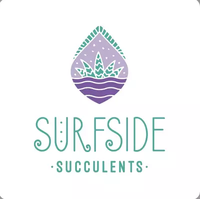 plant/WINTER PACKING ADD ON-0-thumbnail