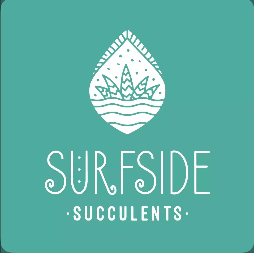 heat_pack/PREMIUM WINTER PACKING ADD ON-0