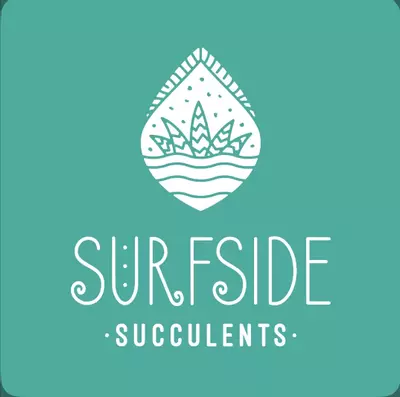 heat_pack/PREMIUM WINTER PACKING ADD ON-0-thumbnail