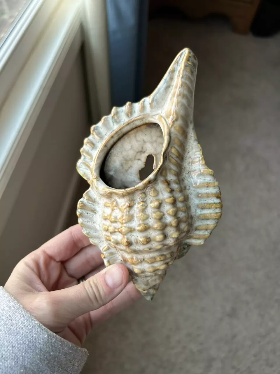 plant/Shell wall pocket-0