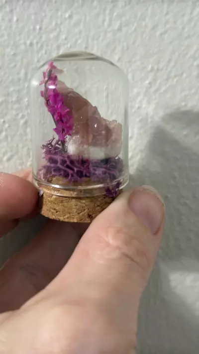 plant/Pink amethyst mini cloche-1-thumbnail